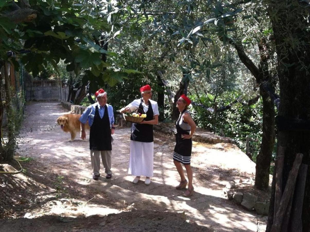 Villa Pane Resort Sorrento Kültér fotó